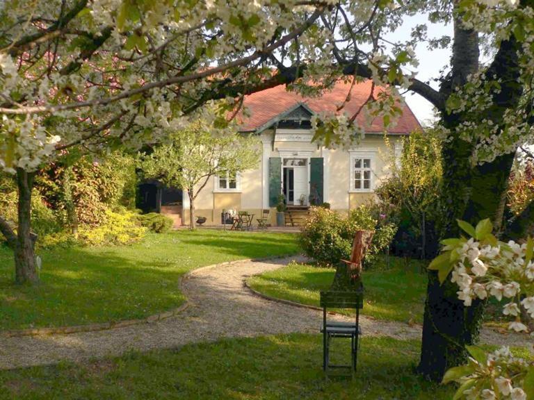 Villa Mimi Ödenburg Exterior foto